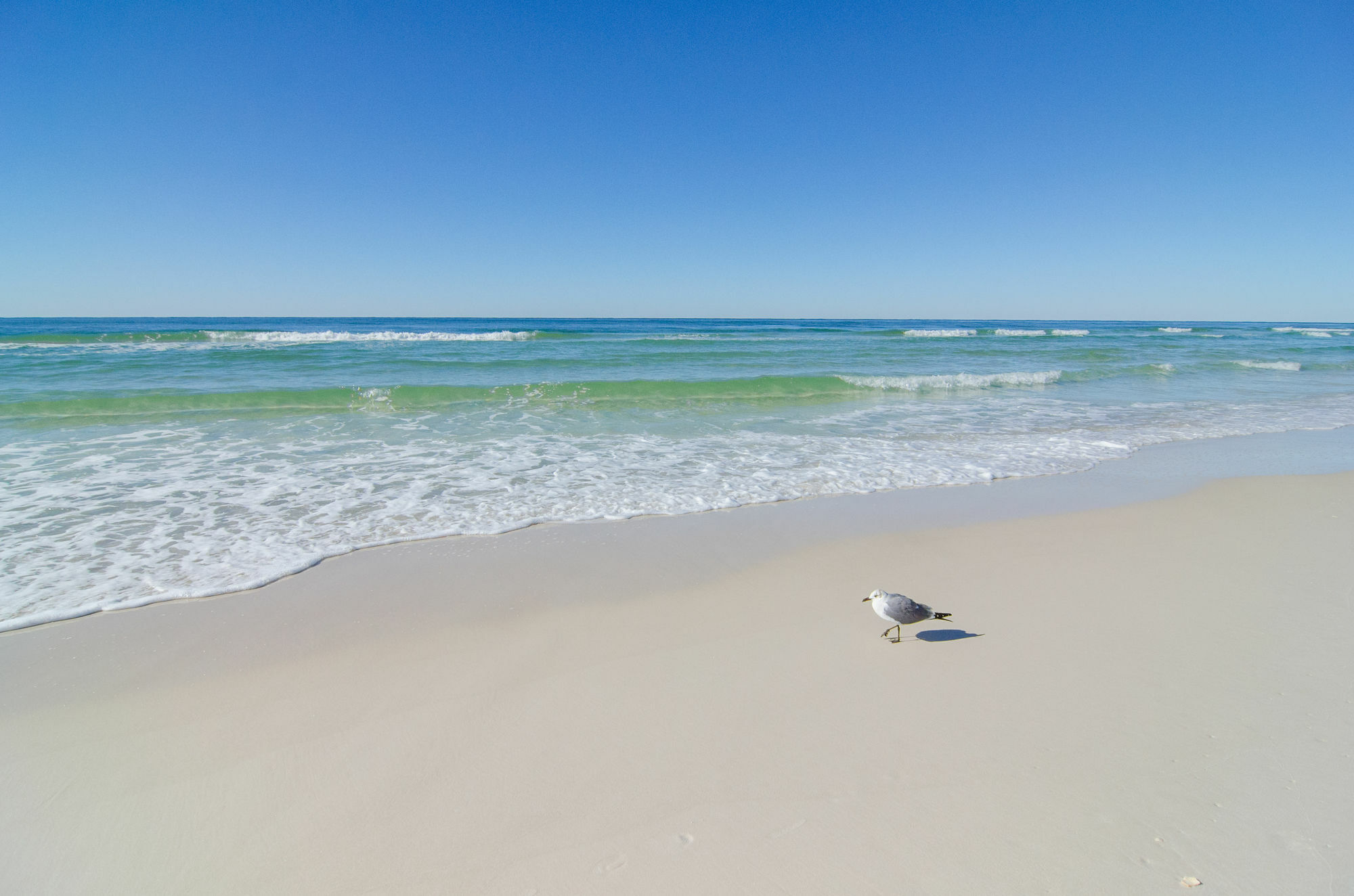 Sunswept By Panhandle Getaways Villa Panama City Beach Exterior photo